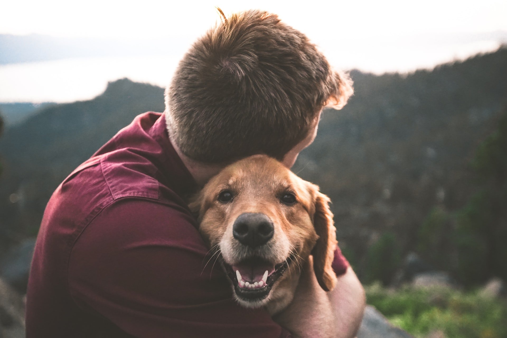 Types of emotional support dogs