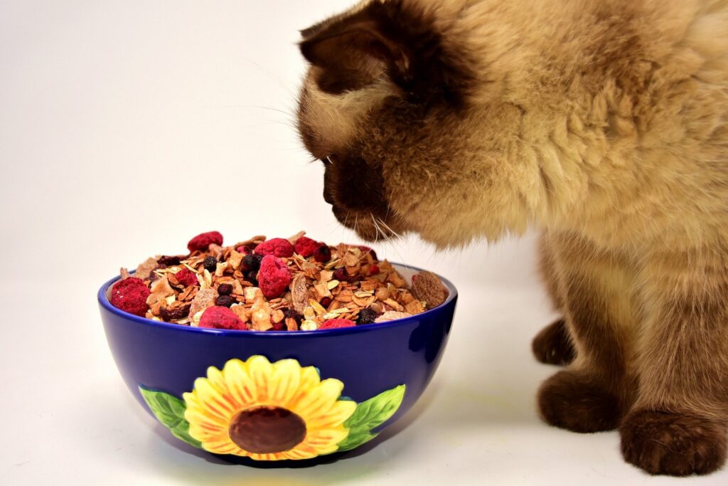Cat overgrooming - location of food and water