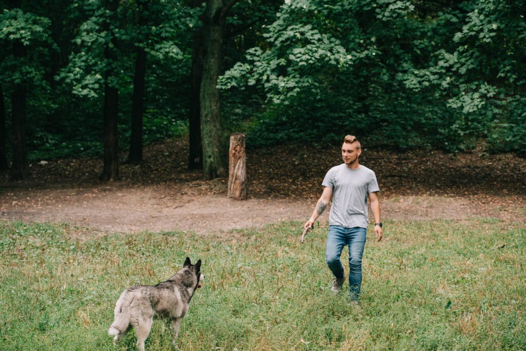 Train your dog to leave it