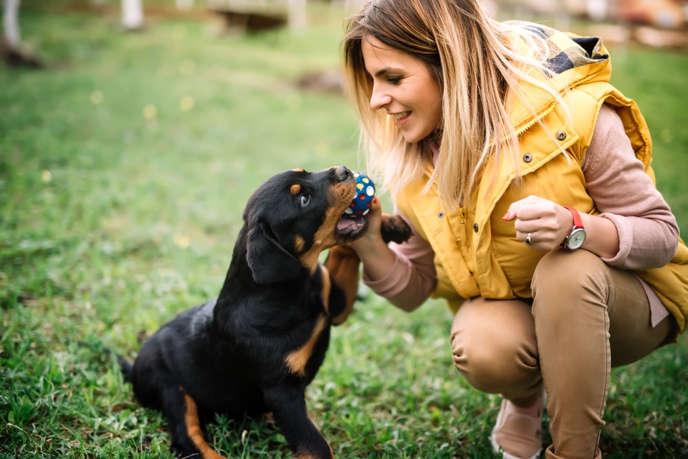 woman teaching her dog how to play fetch