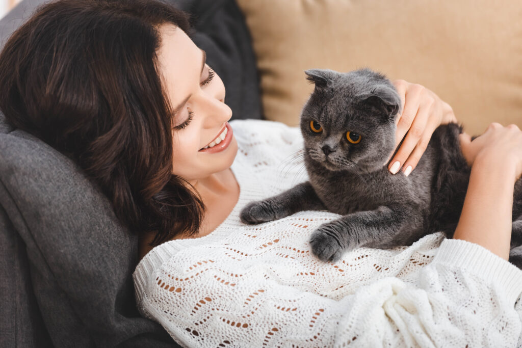 Kneading makes your cat comfortable around people 