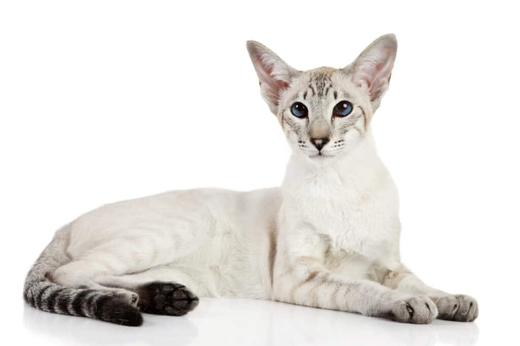 Kneading helps prevent skin problems