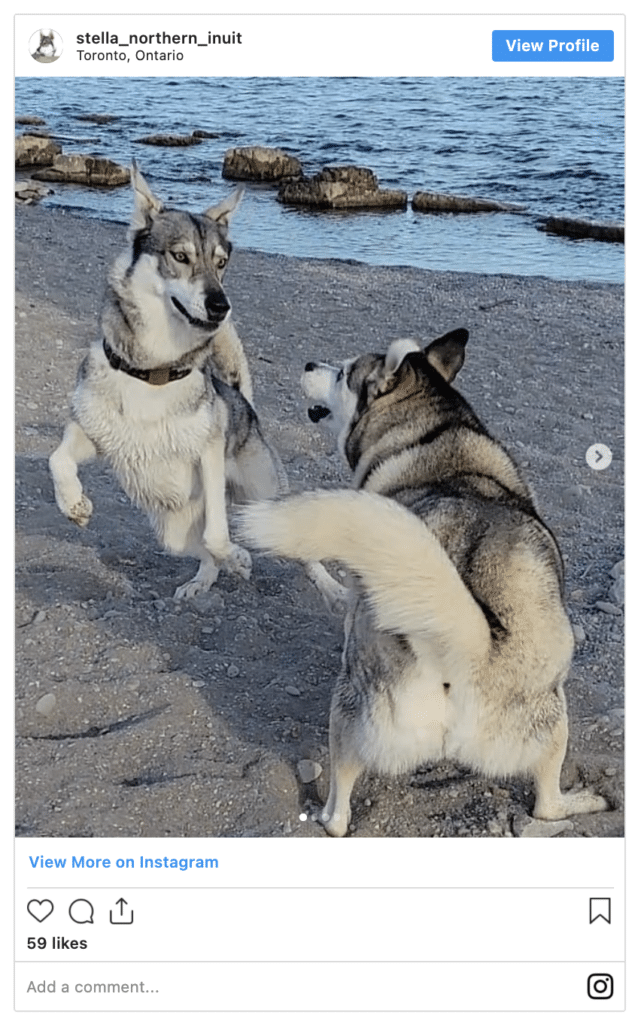 Northern Inuit 